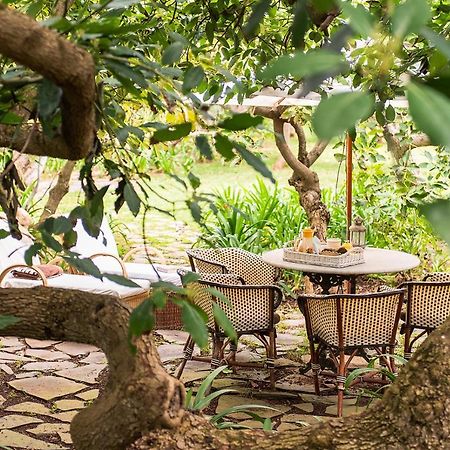 Homeforguest Cosy Rural Flat El Romero With Large Gardens Tacoronte Eksteriør bilde