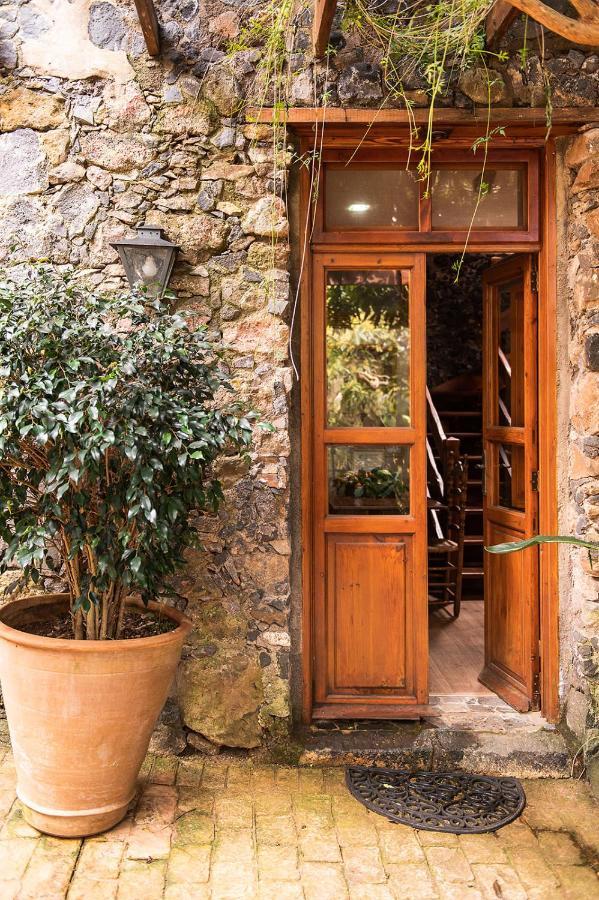Homeforguest Cosy Rural Flat El Romero With Large Gardens Tacoronte Eksteriør bilde