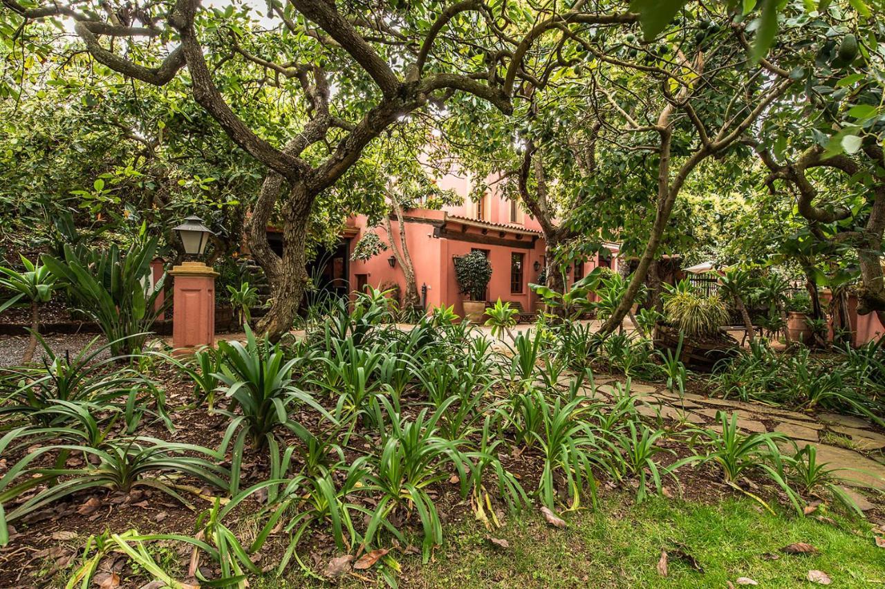 Homeforguest Cosy Rural Flat El Romero With Large Gardens Tacoronte Eksteriør bilde