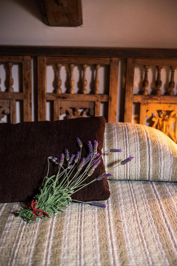 Homeforguest Cosy Rural Flat El Romero With Large Gardens Tacoronte Eksteriør bilde